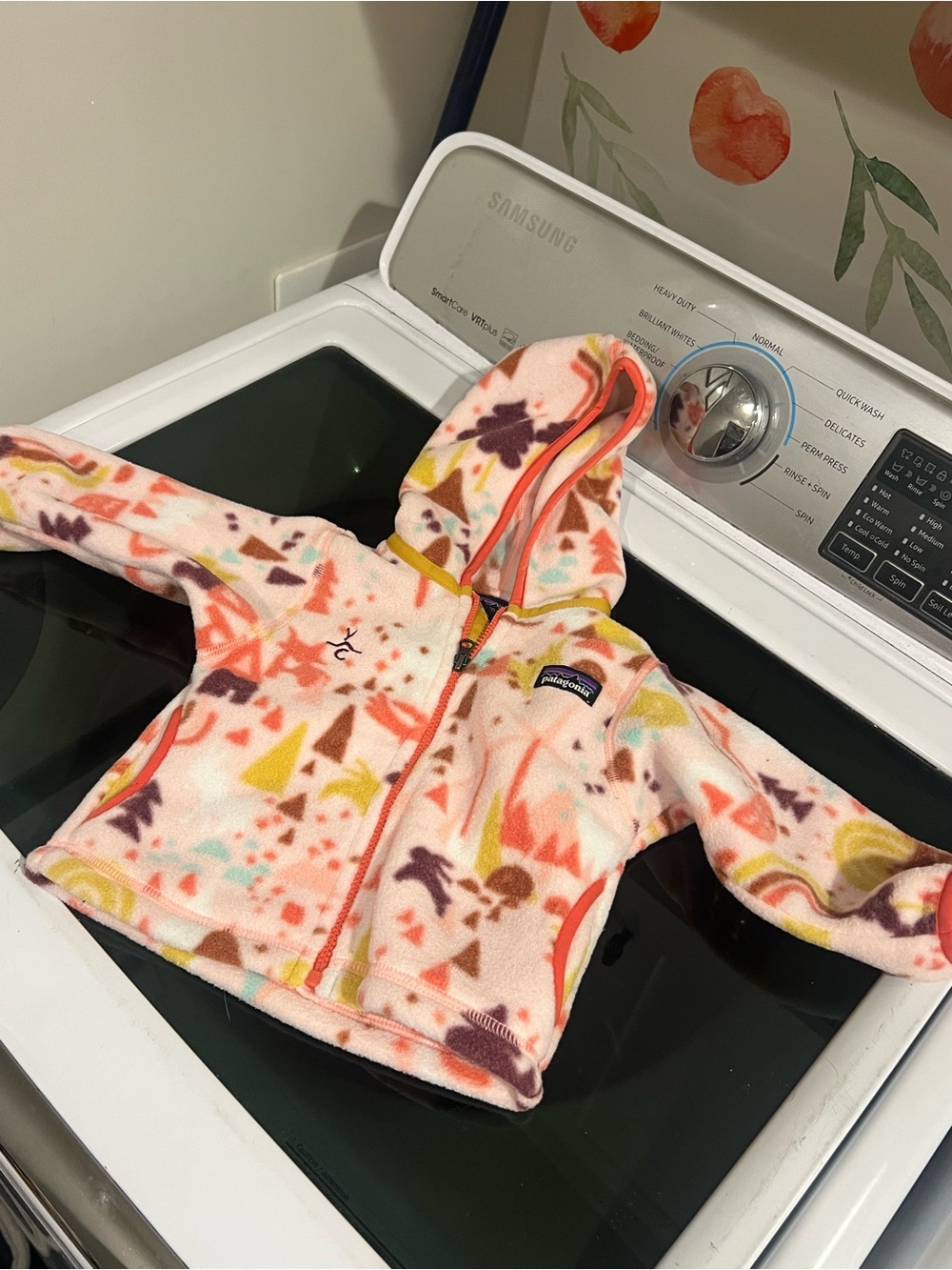 Patagonia Yellowstone Club 3-6 month Pink Fleece Hoodie